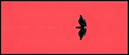 Taube auf rotem Dach, Venedig 60 x 26